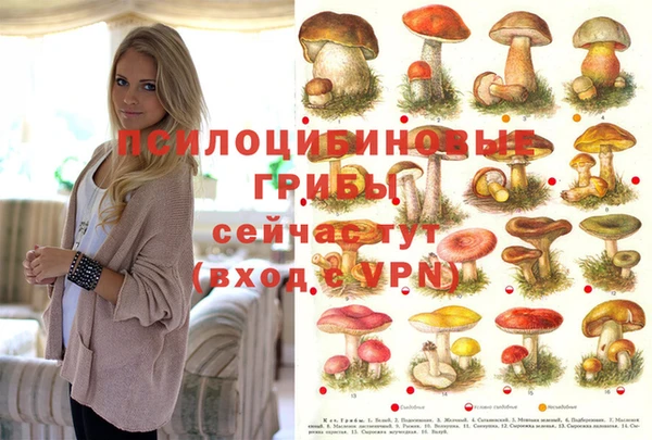 кокаин премиум Алексеевка