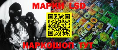 apvp Краснодар