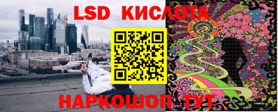 apvp Краснодар