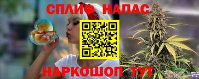 apvp Краснодар