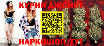 apvp Краснодар