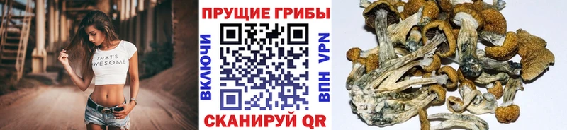 Галлюциногенные грибы мухоморы  гидра рабочий сайт  Кимры 