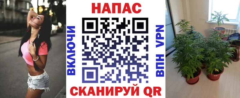 Каннабис конопля Кимры
